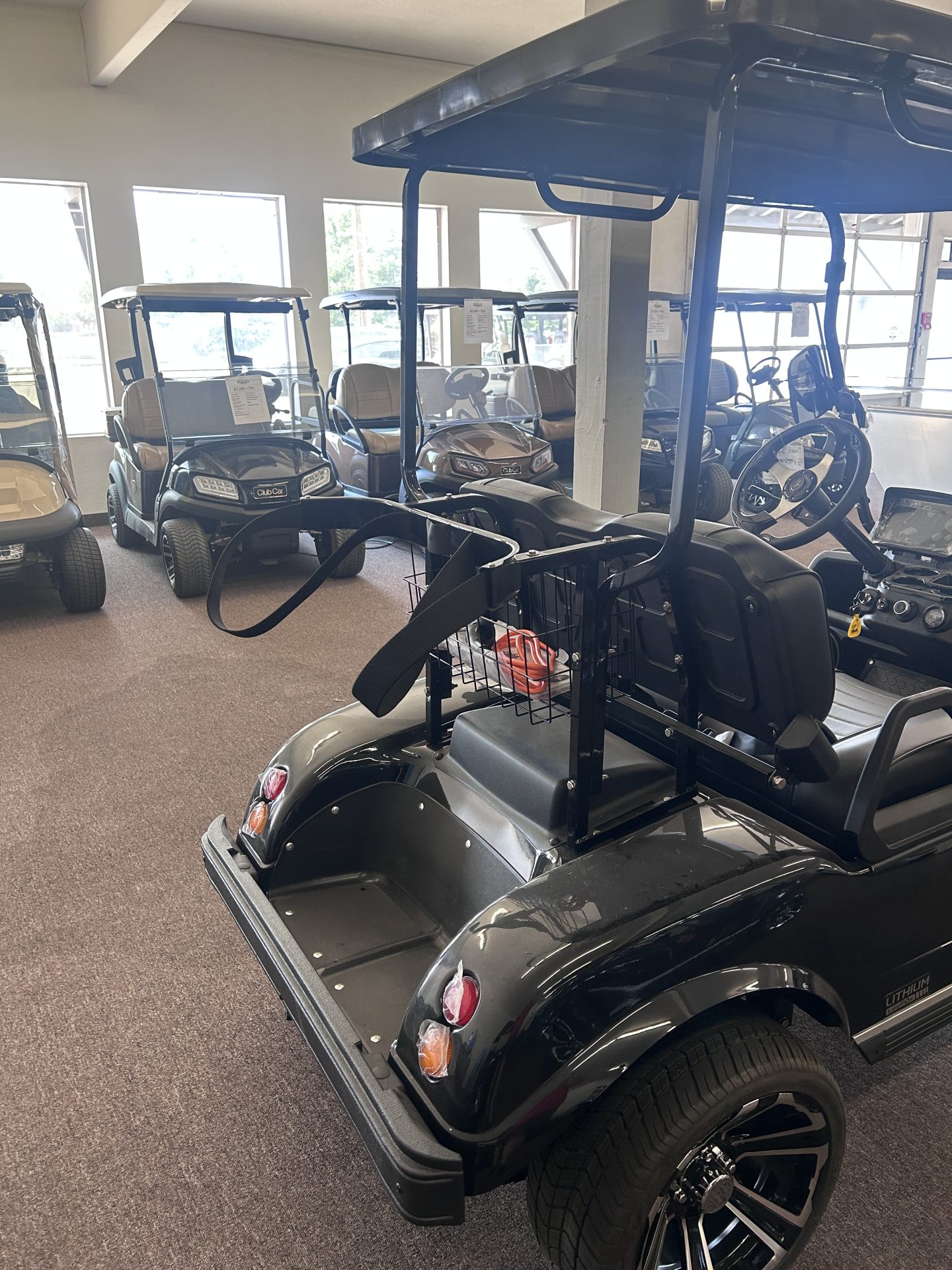 Evolution Classic - Image 2