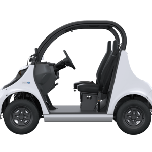 Polaris GEM commercial NEV