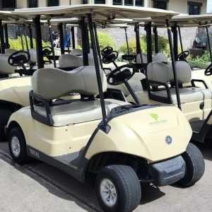 Yamaha Drive2-Drive2 PTV PowerTech AC